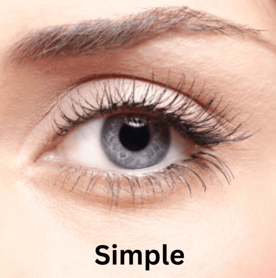 Gleamsi Magnetic Eyelashes Transform Your Look - Gleamsi