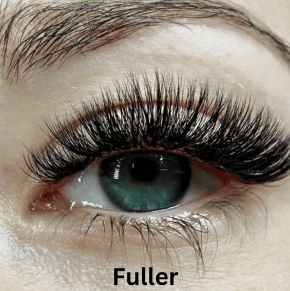 Gleamsi Magnetic Eyelashes Transform Your Look - Gleamsi