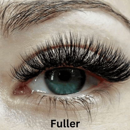 Gleamsi Magnetic Eyelashes Transform Your Look - Gleamsi