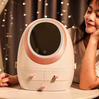 Swan Mirror Makeup Organizer